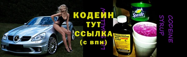молекула духа Елабуга