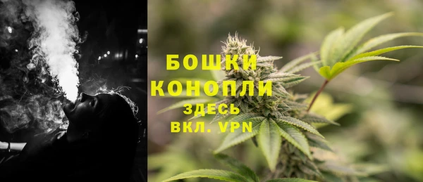 не бодяженный Ельня