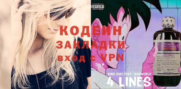 молекула духа Елабуга