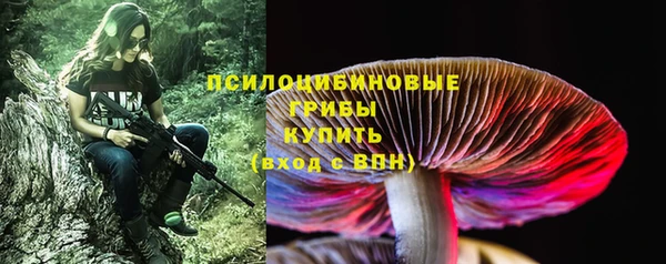 не бодяженный Ельня
