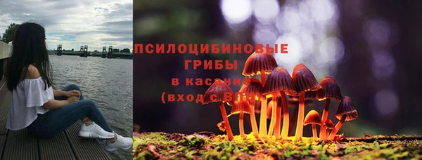 mdpv Дмитровск
